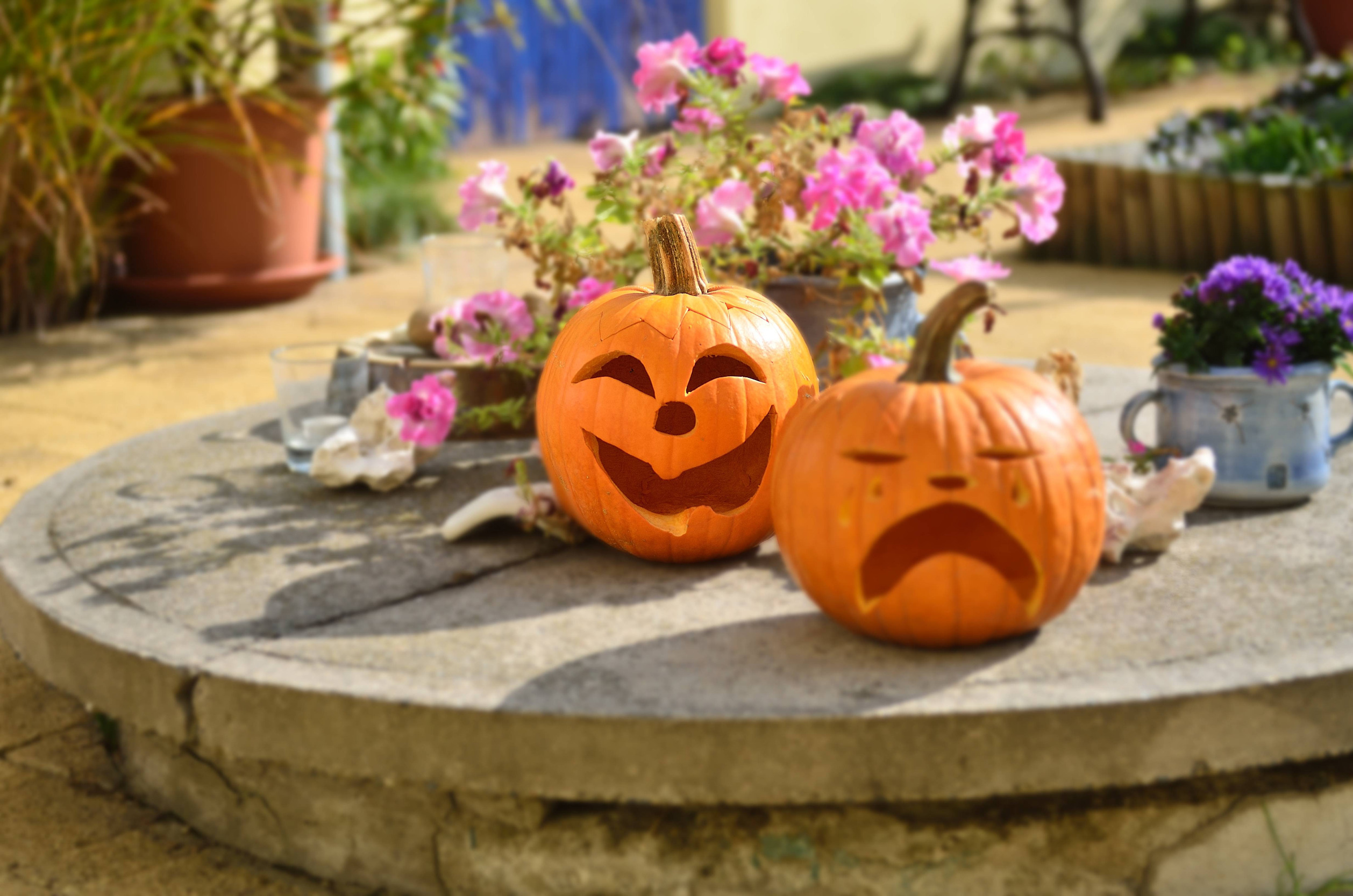 Halloween